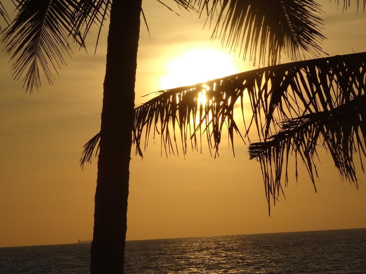 קלוטארה Amssler Beach Stay מראה חיצוני תמונה