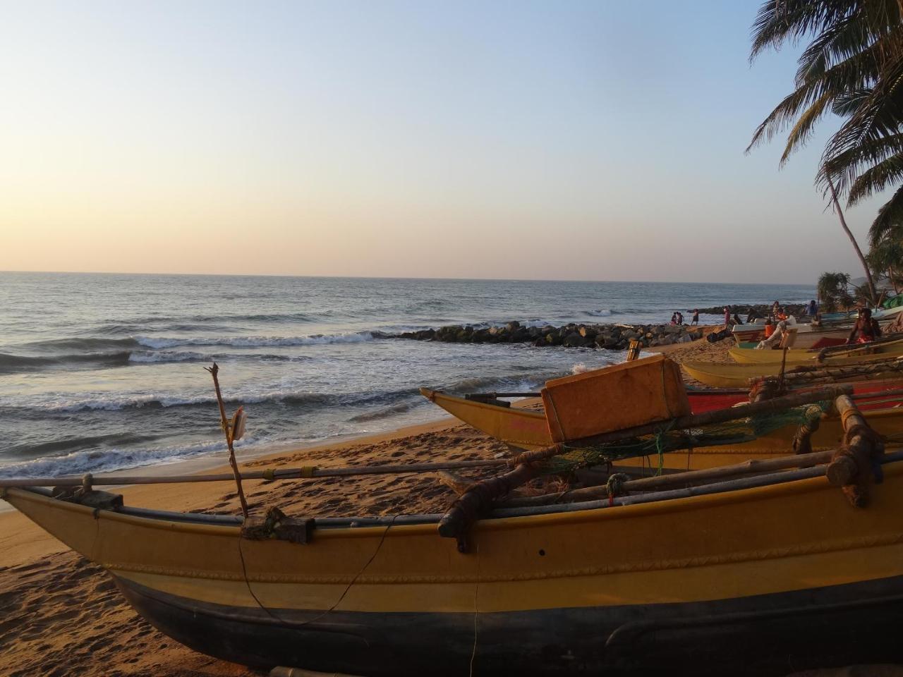 קלוטארה Amssler Beach Stay מראה חיצוני תמונה